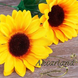 Aynısefa çiçeği - 50 gr