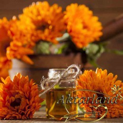 Aynısafa Yağı - 20 ml