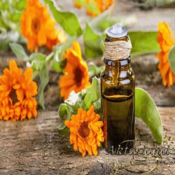 Aynısafa Yağı - 20 ml
