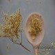Mürver Çiçeği - 50 gr