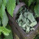 Melisa Yaprağı (Limon kokulu)- 50 gr