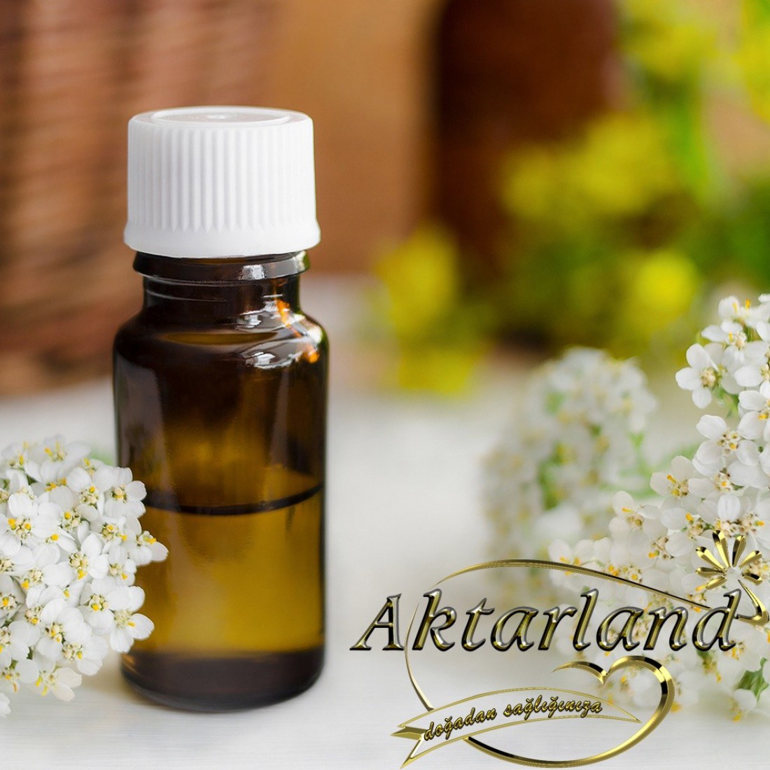 эфирное масло тысячелистника. масло тысячелистника. косметическое масло тысячелистник. тысячелистник гранат дотерра. тысячелистник обыкновенный эфирное масло.