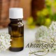 Migren Yağı - 20 ml
