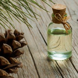 Çam Terebentin Yağı - 50 ml
