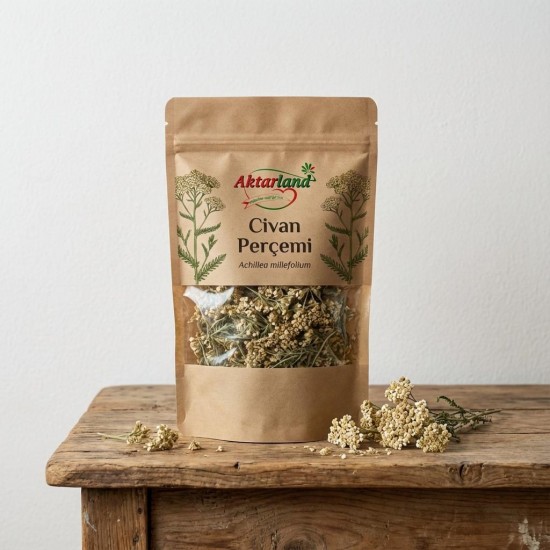  Civan Perçemi (Achillea millefolium) bitkisi ve çiçekleri