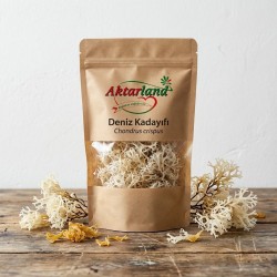 Deniz Kadayıfı - 20 gr