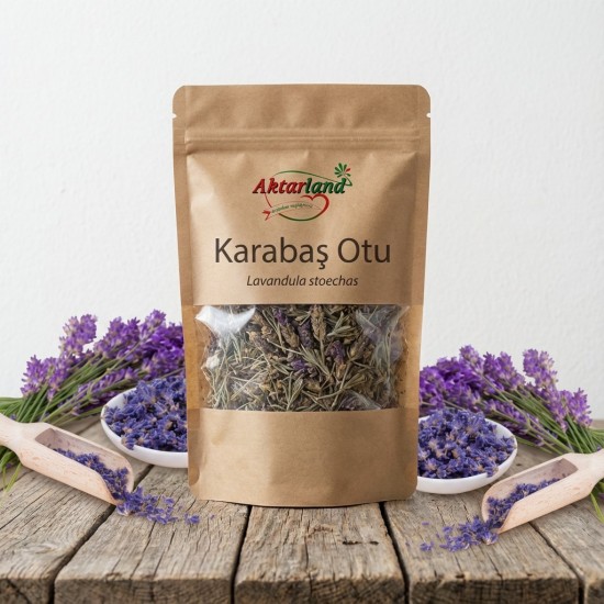 Şifalı Karabaş Otu (Lavandula stoechas) çiçekleri ve bitkisi doğal ortamında