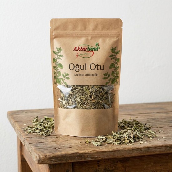  Oğul otu (Melissa officinalis), doğal sakinlik kaynağı şifalı bitki