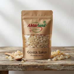 Günlük Sakızı - 100 gr